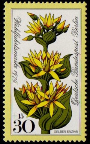 1975. Charity Stamps - Flowers. Yellow Gentian