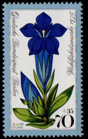 1975. Charity Stamps - Flowers. Blue Gentian.