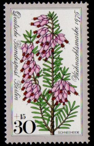 1975. Christmas Stamps - Flowers. Snow Heather