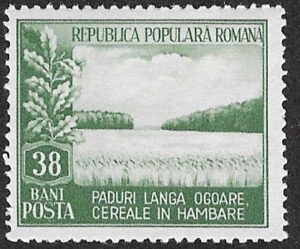 Romania. 1953 Month of the Forests. 38B. MNH. Cat Mi1440