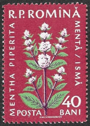 Romania. 1959 Flora. 40B. MNH. Mi1815