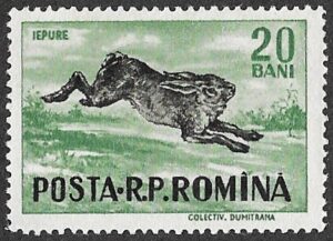 Romania. 1956 Game Animals. 20B. MNH. Cat Mi1565