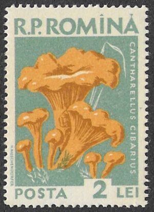 Romania. 1958 Mushrooms. 2L. MNH. Mi1730