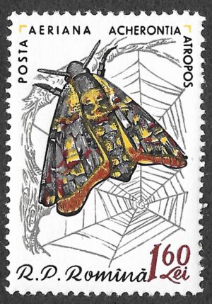 Romania. 1960 Butterflies & Moths. 1.60L. MNH. Mi1922