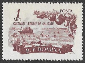 Romania. 1955 Agriculture. 1L. MNH. Cat Mi1542