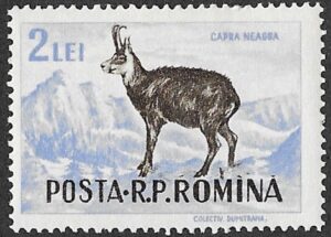 Romania. 1956 Game Animals. 2L. MNH. Cat Mi1574