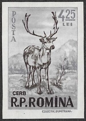 Romania. 1956 Game Animals, Imperforated. 4.25L. MNH. Mi1625