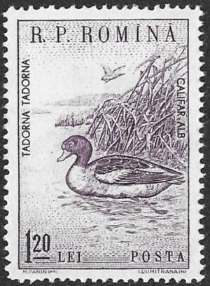 Romania. 1960 Animals. 1.20L. MNH. Mi1835