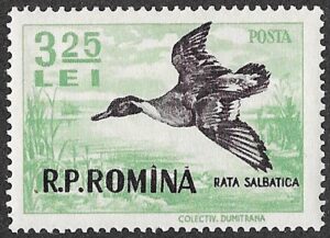 Romania. 1956 Game Animals. 3.25L. MNH. Cat Mi1575