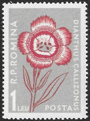 Romania. 1957 Mountain Flowers. Dianthus calizonus. 1L. MNH. Mi1652