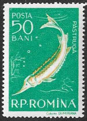 Romania. 1957 Birds - Danube Delta Fauna. 50B. MNH. Mi1689