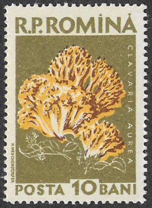 Romania. 1958 Mushrooms. 10B. MNH. Mi1722