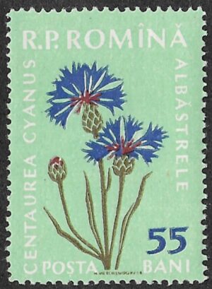 Romania. 1959 Flora. 55B. MNH. Mi1817