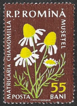 Romania. 1959 Flora. 55B. MNH. Mi1816