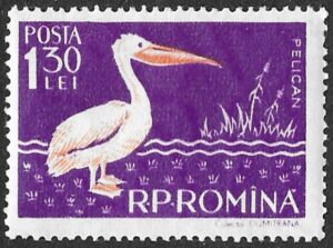 Romania. 1957 Birds - Danube Delta Fauna. 1.30L. MNH. Mi1691