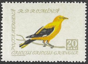 Romania. 1959 Songbirds. 20B. MNH. Mi1781