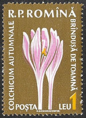 Romania. 1959 Flora. 1L. MNH. Mi1818