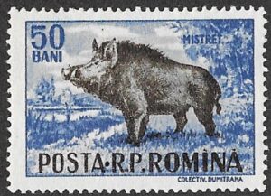 Romania. 1956 Game Animals. 50B. MNH. Cat Mi1568