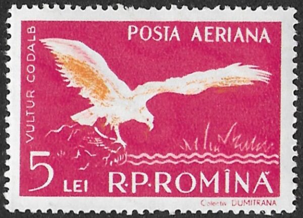 Romania. 1957 Birds - Danube Delta Fauna.5L. MNH. Mi1693