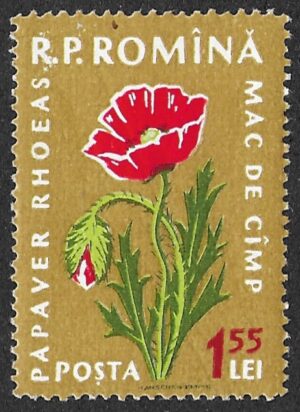 Romania. 1959 Flora. 1.55L. MNH. Mi1820