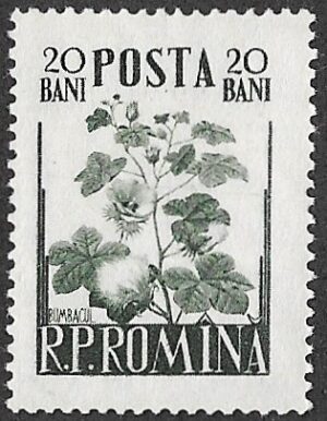 Romania. 1955 Plants. 20B. MNH. Cat Mi1548