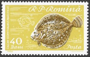 Romania. 1960 Fish. 40B. MNH. Mi1929