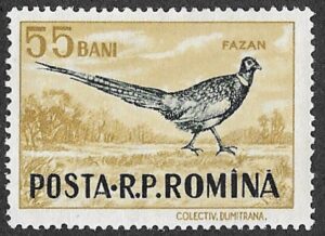 Romania. 1956 Game Animals. 55B. MNH. Cat Mi1570