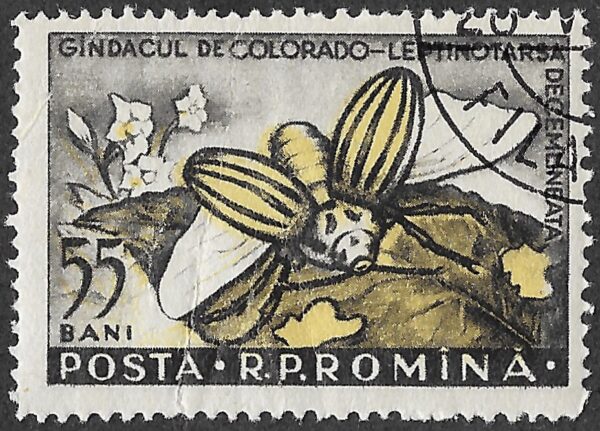 Romania. 1956 Insects. 55B. Cancelled. Mi1587