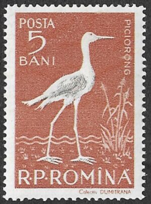 Romania. 1957 Birds - Danube Delta Fauna. 5B. MNH. Mi1686