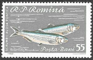 Romania. 1960 Fish. 55B. MNH. Mi1930