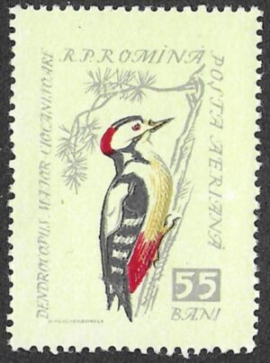 Romania. 1959 Songbirds. 55B. MNH. Mi1785