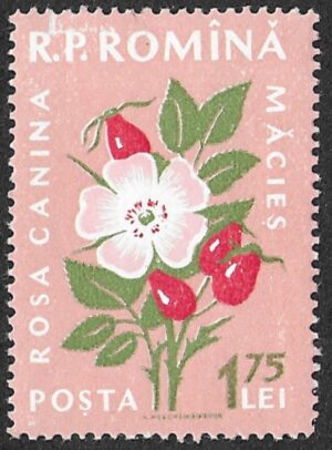 Romania. 1959 Flora. 1.75L. MNH. Mi1822