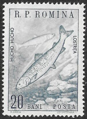 Romania. 1960 Animals. 20B. MNH. Mi1833