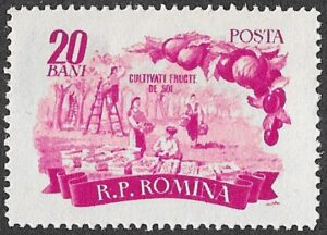 Romania. 1955 Agriculture. 20B. MNH. Cat Mi1540