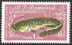 Romania. 1960 Fish. 1L. MNH. Mi1931