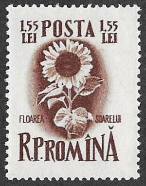 Romania. 1955 Plants. 1.55L. MNH. Cat Mi1550