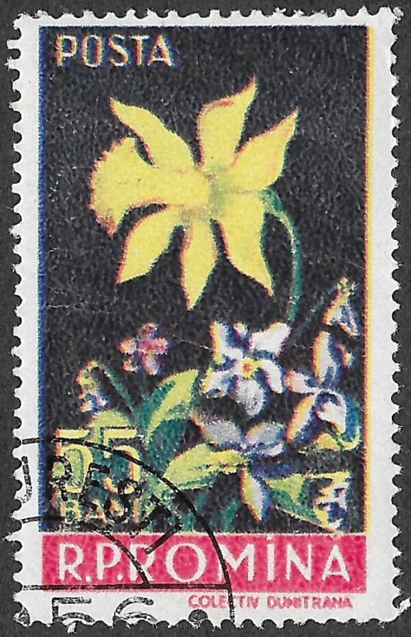 Romania. 1956 Flowers. 55B. Cancelled. Mi1590