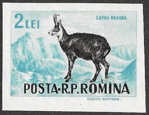 Romania. 1956 Game Animals, Imperforated. 2L. MNH. Mi1623