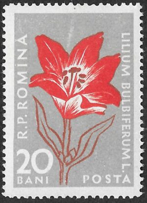 Romania. 1957 Mountain Flowers. Lilium bulbiferum. 20B. MNH. Mi1649