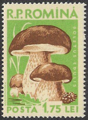 Romania. 1958 Mushrooms. 1.75L. MNH. Mi1729