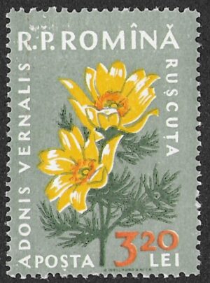 Romania. 1959 Flora. 3.20L. MNH. Mi1823