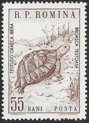 Romania. 1960 Animals. 55B. MNH. Mi1834