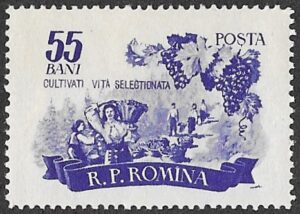 Romania. 1955 Agriculture. 55B. MNH. Cat Mi1541