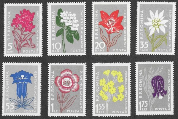 Romania. 1957 Mountain Flowers. Michel 1647-1654. Full set