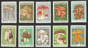 Romania. 1958 Mushrooms. Michel 1721-1730. MNH. Full set