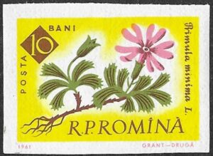 Romania. 1961 The 100th Anniversary of the Botanical Garden, Bucharest - Flowers. 10B. MNH. Mi2020B