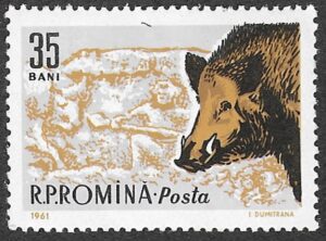 Romania. 1961 Game Animals. 35B. MNH. Mi1983