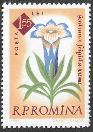 Romania. 1961 The 100th Anniversary of the Botanical Garden, Bucharest - Flowers. 1.55L. MNH. Mi2028