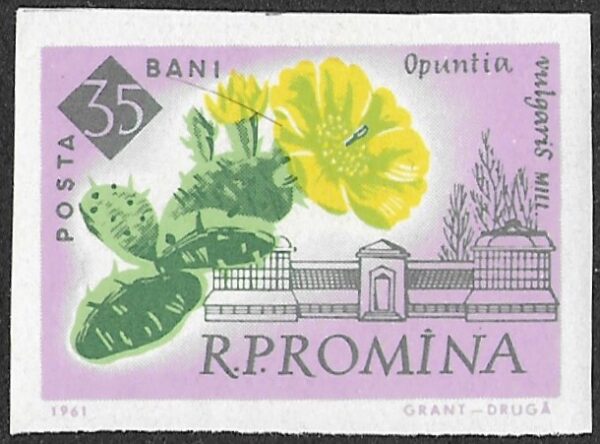 Romania. 1961 The 100th Anniversary of the Botanical Garden, Bucharest - Flowers. 35B. MNH. Mi2023B