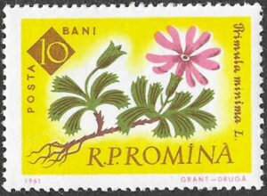 Romania. 1961 The 100th Anniversary of the Botanical Garden, Bucharest - Flowers. 10B. MNH. Mi2020